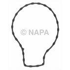 Engine Water Pump Gasket