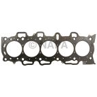 Engine Cylinder Head Gasket