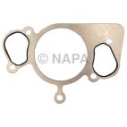 Engine Water Pump Gasket