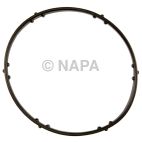 Engine Coolant Thermostat Seal