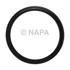 Engine Oil Cooler Seal