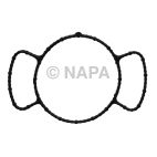 Engine Timing Cover Gasket