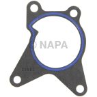 Engine Water Pump Gasket