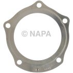 Exhaust Pipe Flange Gasket