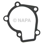 Engine Water Pump Gasket