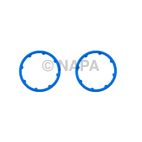 Engine Oil Cooler Adapter Seal
