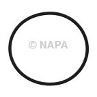 Engine Water Pump O-Ring