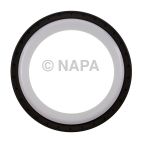 Engine Rear Main Seal Kit