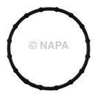 Engine Coolant Thermostat Seal
