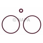 Engine Oil Filter Adapter Seal