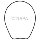 Engine Oil Pump Gasket