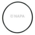 Engine Water Pump O-Ring