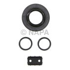 Engine Crankshaft Seal Kit