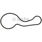 Engine Water Pump Gasket