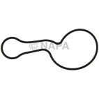 Engine Water Pump Gasket