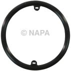 Engine Oil Cooler Seal