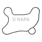 Engine Water Pump Gasket