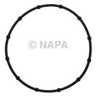 Engine Oil Filter Adapter Seal
