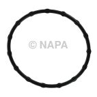 Fuel Injection Plenum Gasket Set