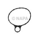 Engine Cylinder Base Gasket