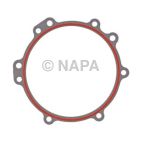 Engine Water Pump Gasket