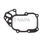 Engine Oil Cooler Gasket