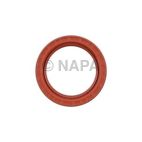 Engine Crankshaft Seal Kit