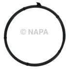 Engine Coolant Thermostat Seal