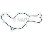 Engine Water Pump Gasket