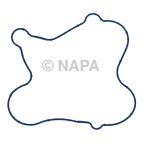 Engine Water Pump Gasket