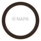 Engine Rear Main Seal Kit