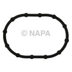 Engine Water Pump Gasket