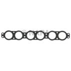 Fuel Injection Plenum Gasket Set