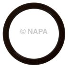 Engine Rear Main Seal Kit