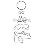 Engine Oil Cooler Gasket Set