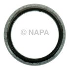 Exhaust Pipe Flange Gasket