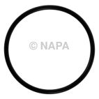 Fuel Injection Plenum Seal