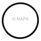 Engine Water Pump O-Ring