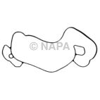 Engine Water Pump Gasket