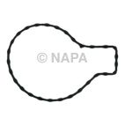 Engine Water Pump Gasket