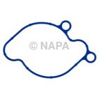 Engine Water Pump Gasket