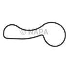 Engine Water Pump Gasket