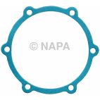 Engine Water Pump Backing Plate Gasket