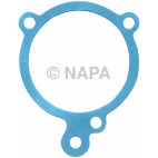 Engine Water Pump Gasket