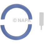 Engine Rear Main Seal Kit