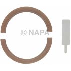 Engine Rear Main Seal Kit