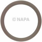 Engine Rear Main Seal Kit