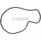 Engine Water Pump Gasket