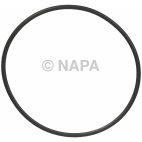 Engine Water Pump Gasket