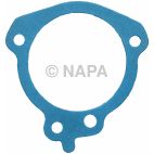 Engine Water Pump Gasket